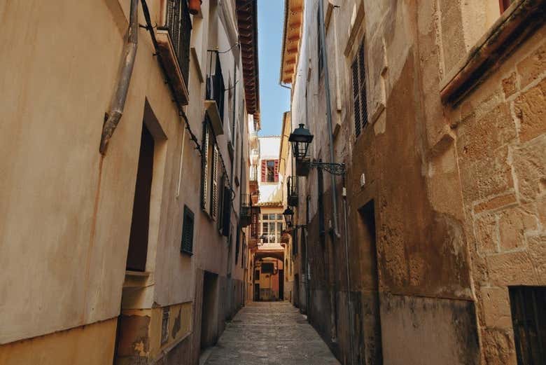 Passeando por Palma de Mallorca