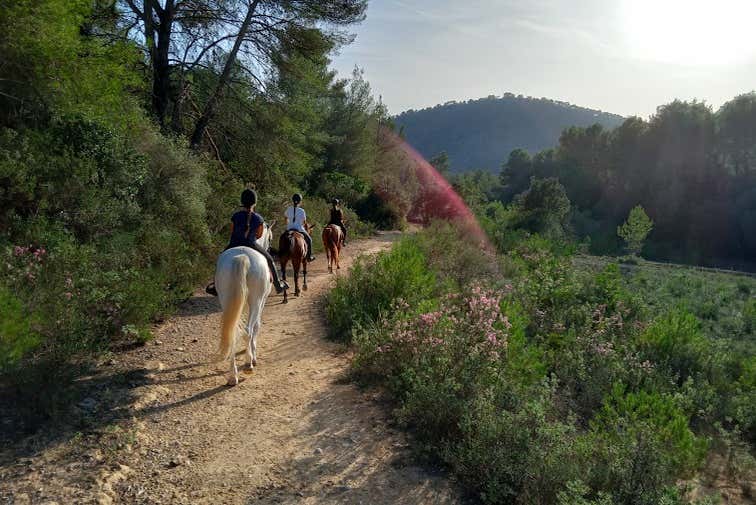 Ruta equestre ao entardecer