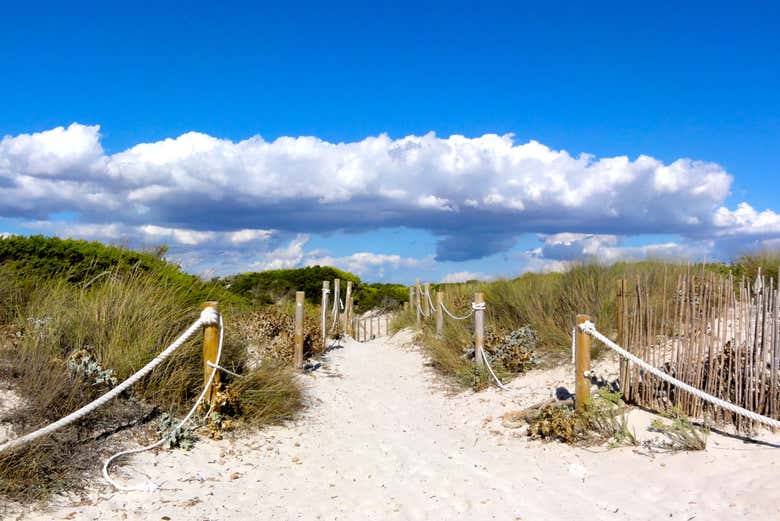 Entrada na Praia Es Trenc