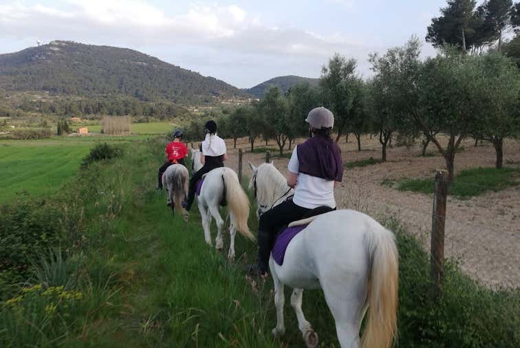 Cavalgando por Randa