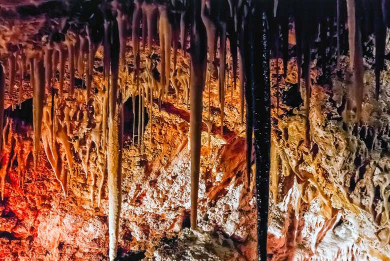 Estalactites das Grutas de Génova