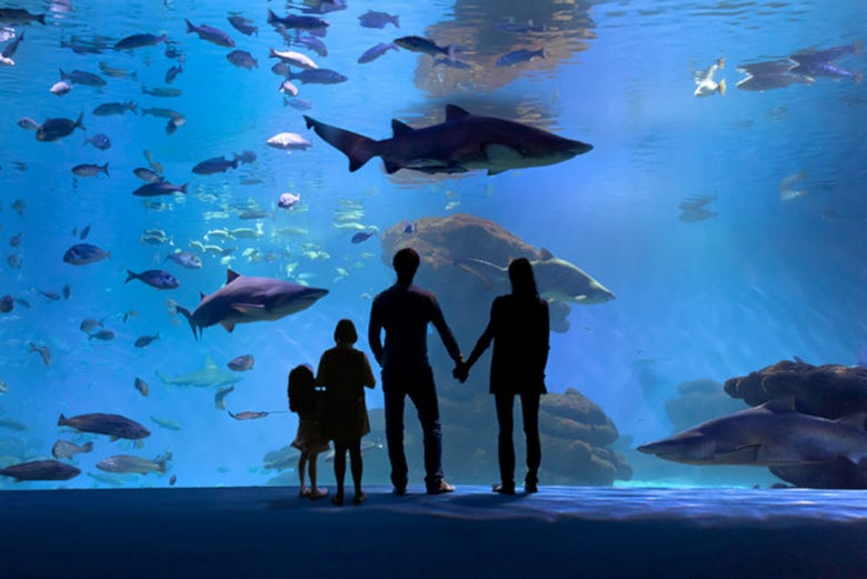 Famille à l'aquarium de Palma