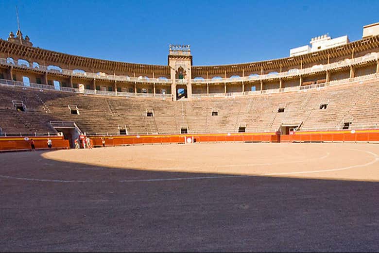Potrete esplorare l'arena in piena autonomia