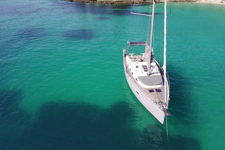 Enjoy vibrant waters