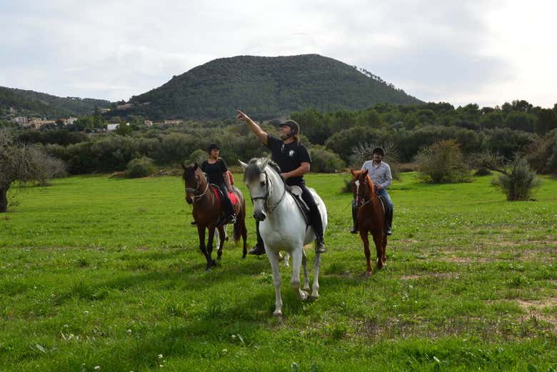 Desfrutando das paisagens
