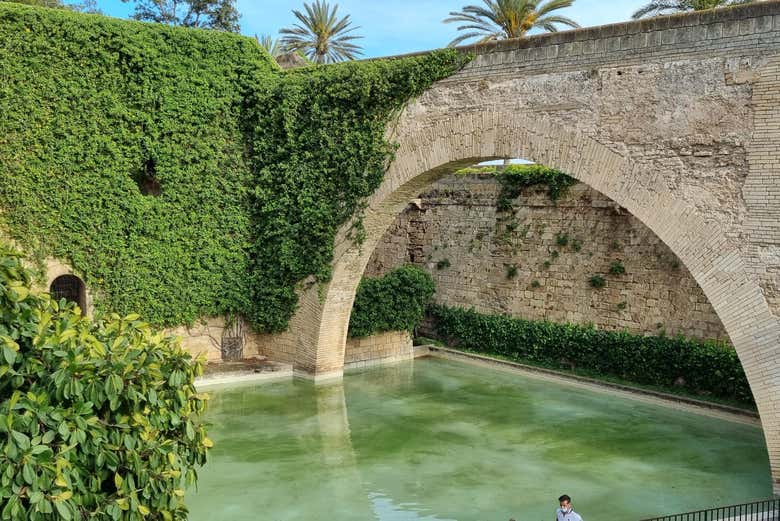 Disfrutando del free tour de las murallas de Palma