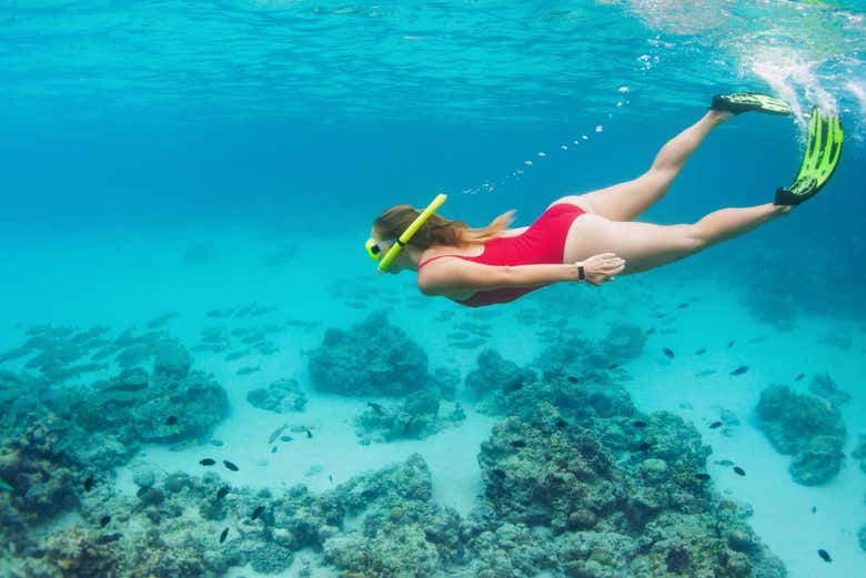Snorkel en la bahía de Palma de Mallorca