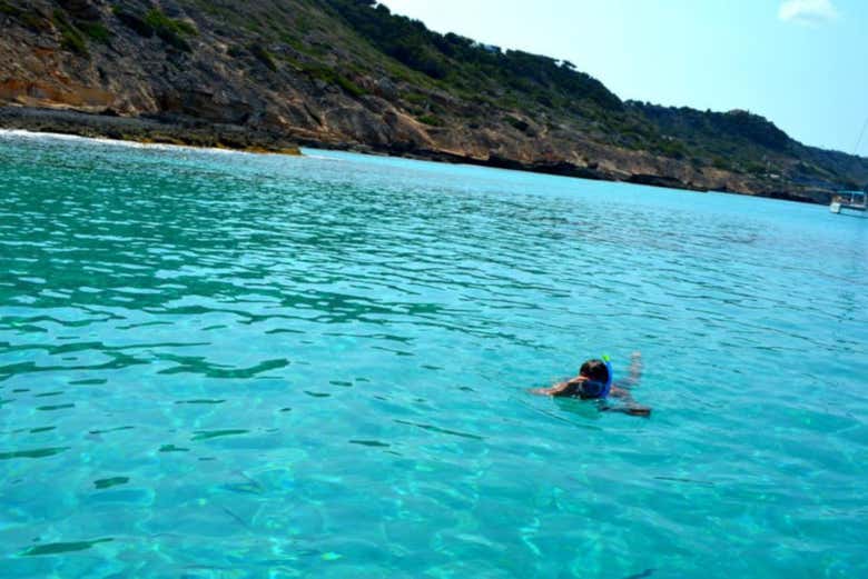 Snorkel