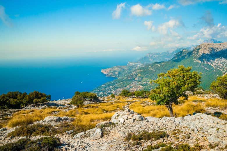 Serra do Tramontana