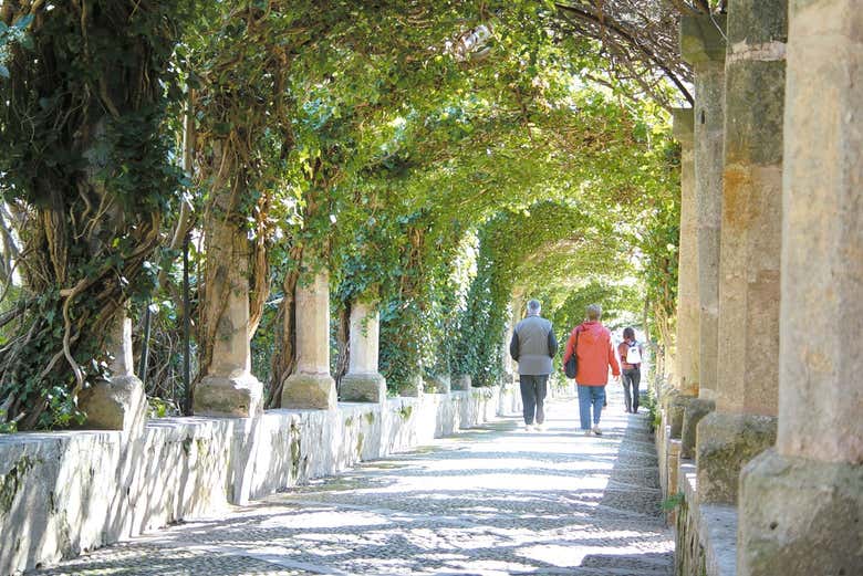 Passeando por baixo da pérgola de Alfabia