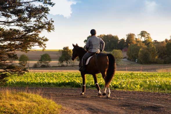 Balade à cheval à Randa