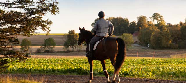 Passeio a cavalo por Randa