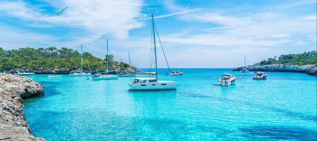 Paseo en catamarán por la bahía de Palma