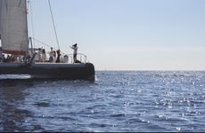Paseo en catamarán por la bahía de Palma
