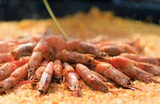 Taller de paella y sangría en el Mercado del Olivar