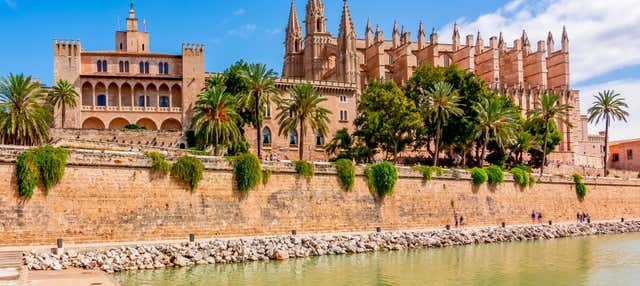 Palma Tour + Cathedral Visit