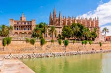 Palma Tour + Cathedral Visit