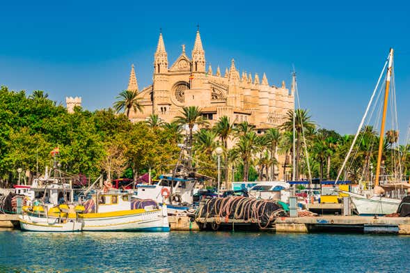 Tour por Palma y su catedral + Valldemossa