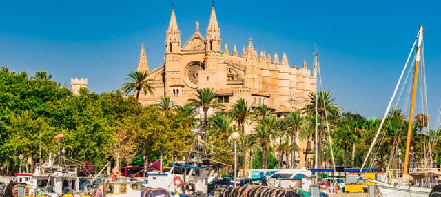 Visite de Palma et de sa cathédrale + Valldemossa