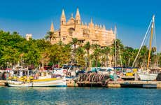 Tour por Palma y su catedral + Valldemossa 