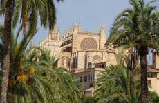 Tour por Palma para cruceros