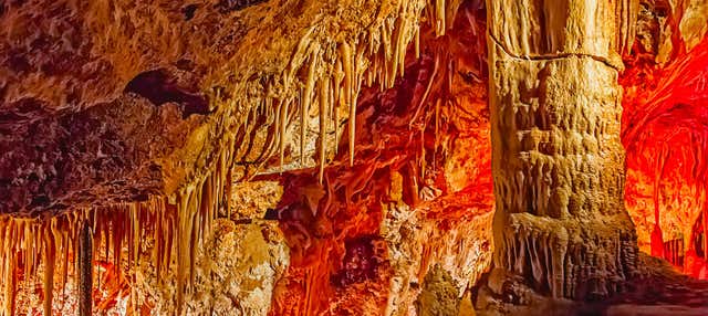 Genova Caves Ticket