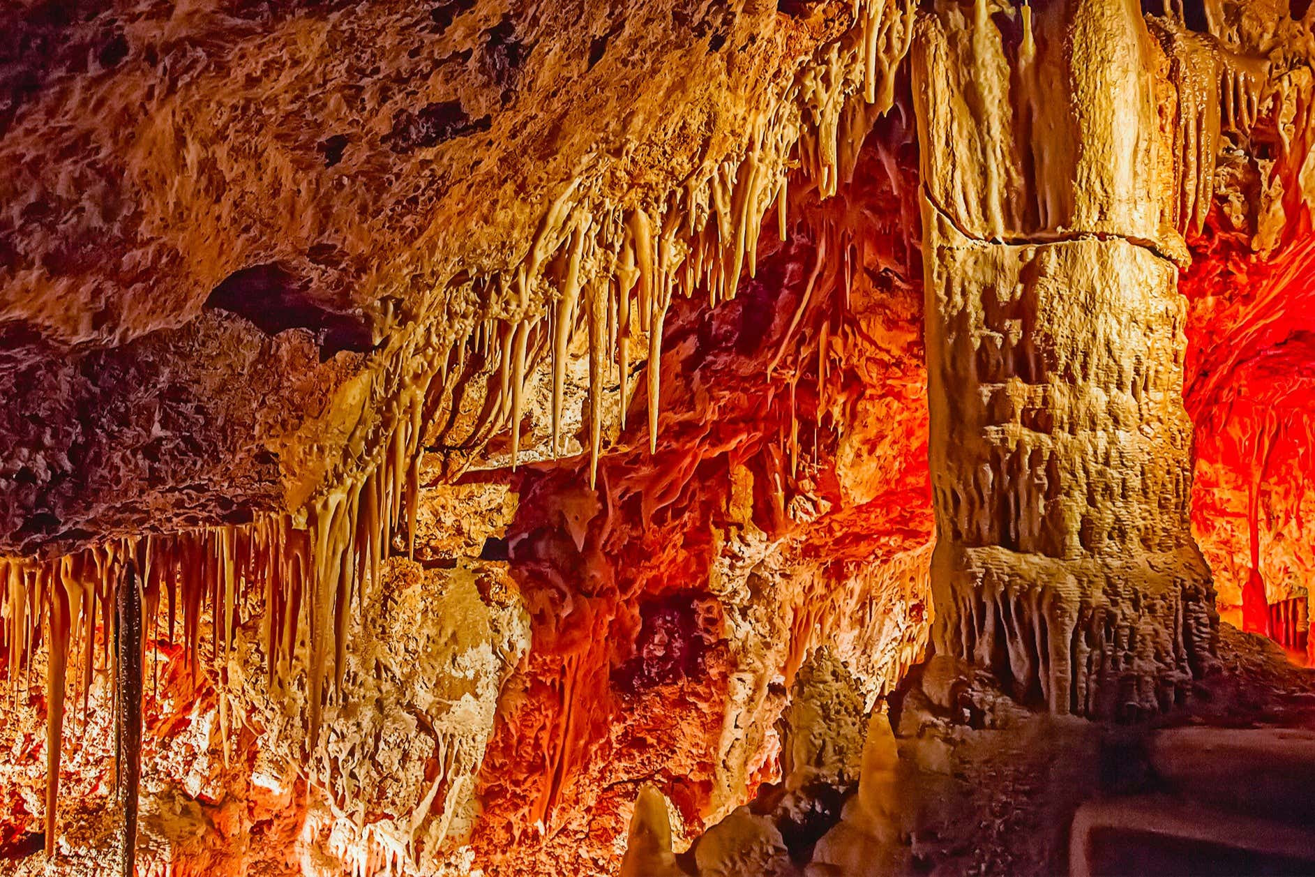 Billet pour les Grottes de Génova