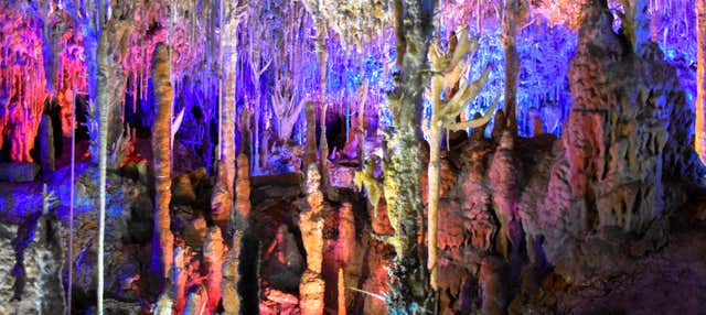 Visita guiada pelas cavernas dels Hams