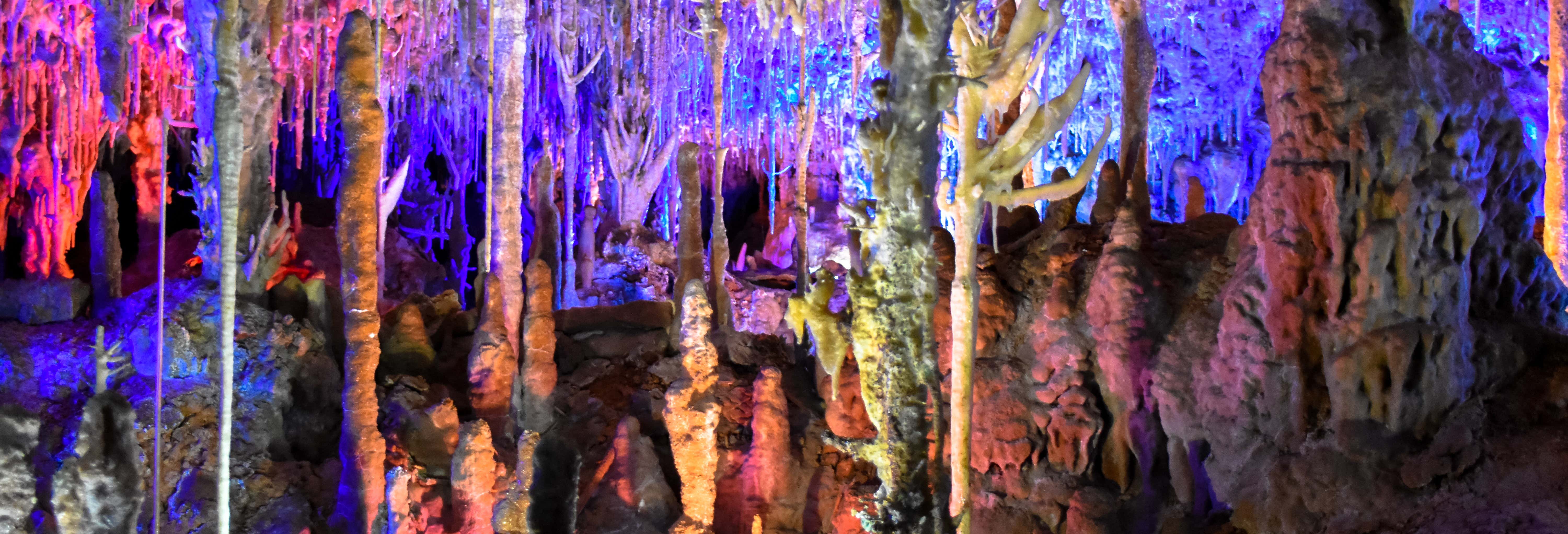 Guided tours and free tours in Palma de Mallorca