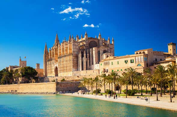 Tour por Palma, mercado do Olivar e castelo de Bellver