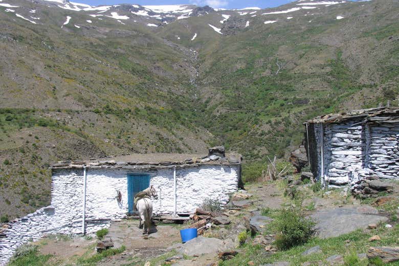 Pause face à une cabane