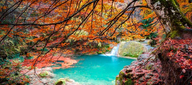 Excursión al Nacedero del río Urederra