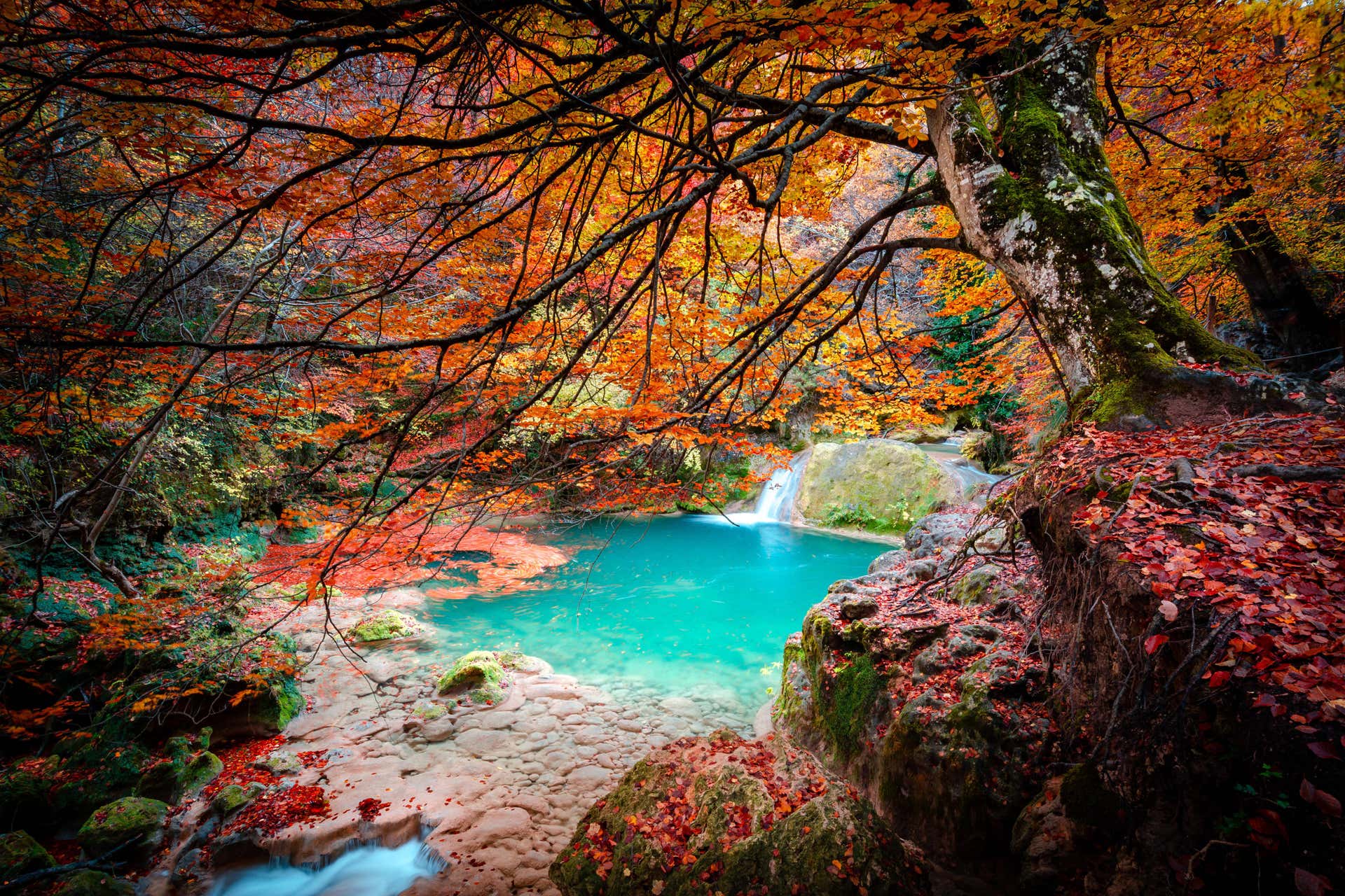 Excursión al Nacedero del río Urederra