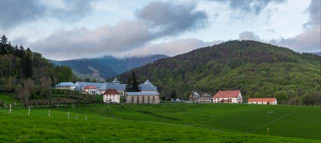 Excursión a Roncesvalles y Burguete