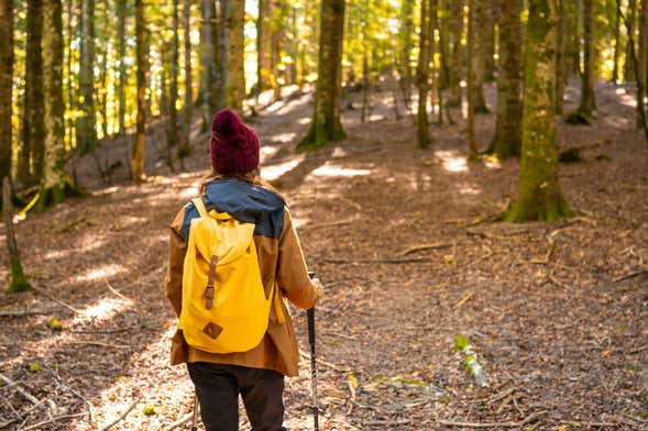 Escursione alla foresta di Irati e Ochagavía