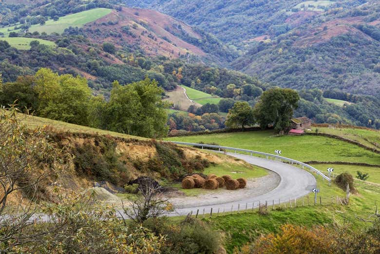 Carretera del Valle del Baztán