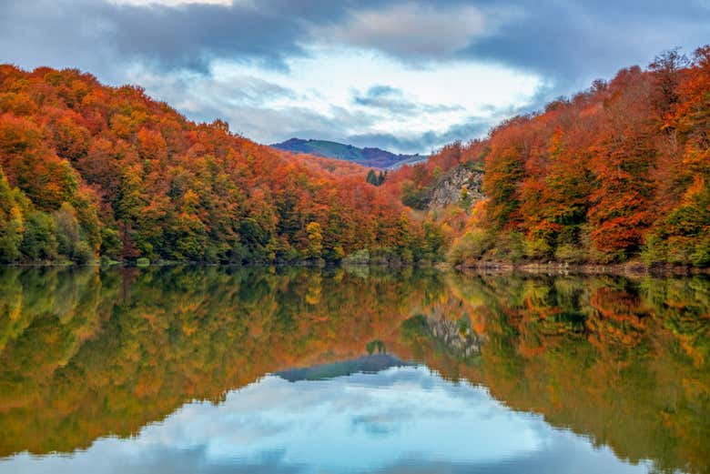 Tendréis bellas fotos de postal en la Selva de Irati