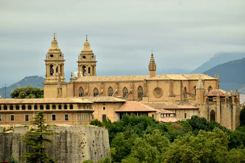 Detalle de la catedral de Pamplona