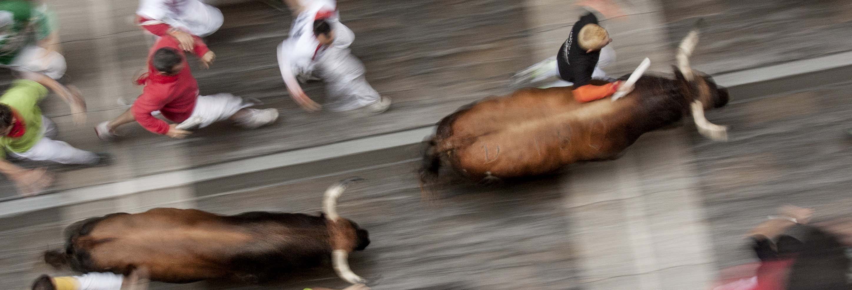 Visitas guiadas e free tours em Pamplona