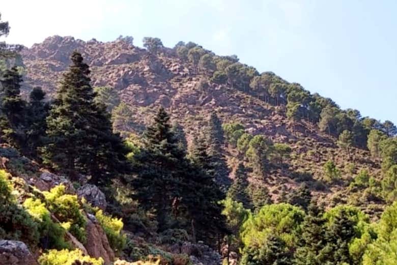 Parque Nacional Sierra de las Nieves, em Málaga