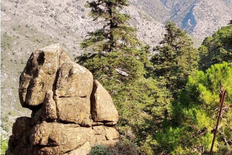 Explorando a Sierra de las Nieves