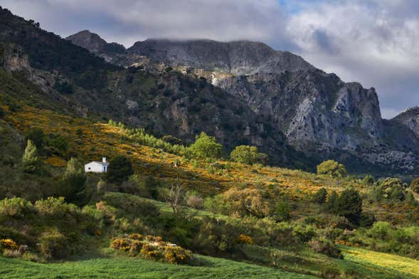 Senderismo por la Sierra de las Nieves