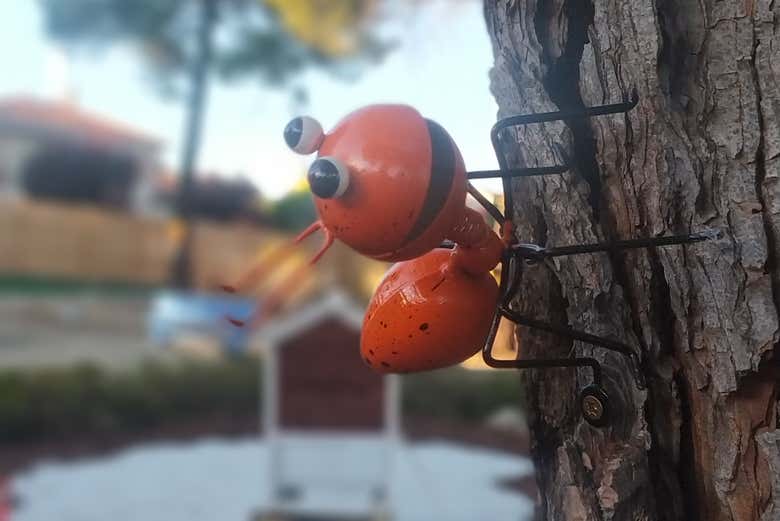 Un insecte sympathique