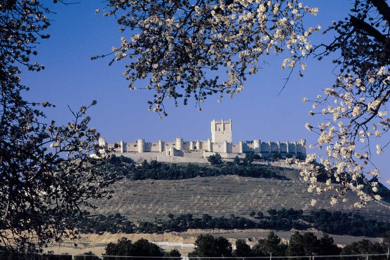 Panorámica del castillo de Peñafiel 