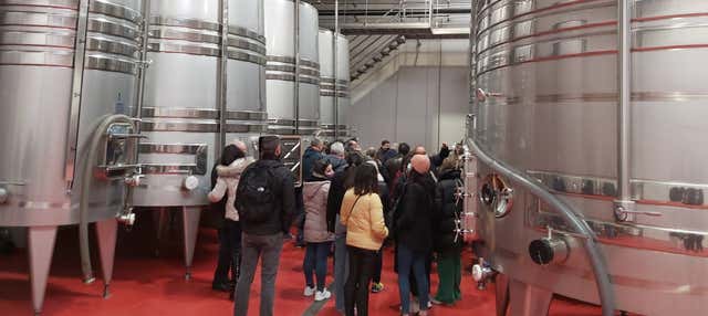 Visita a la bodega Convento Oreja