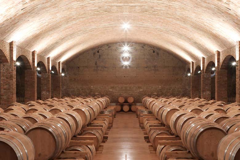 Barricas de vino Castell del Remei