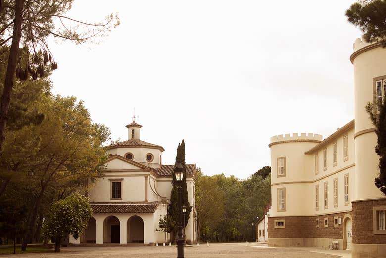 Bodega Castell del Remei