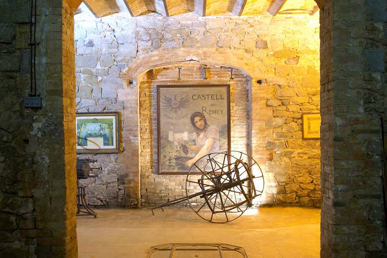 Visitando la bodega histórica de Castell del Remei