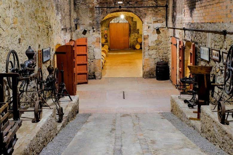 Conociendo las diferentes salas de la bodega