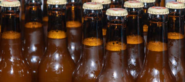 Cata de cerveza artesanal en Peñíscola